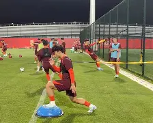 开云体育平台-费南多状态回暖！成国足进攻核心的简单介绍